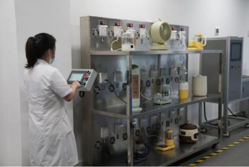 以用戶為中心，小熊電器差異化創(chuàng)新引領(lǐng)品質(zhì)生活新篇章